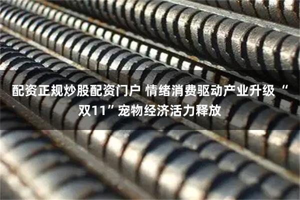 配资正规炒股配资门户 情绪消费驱动产业升级 “双11”宠物经济活力释放